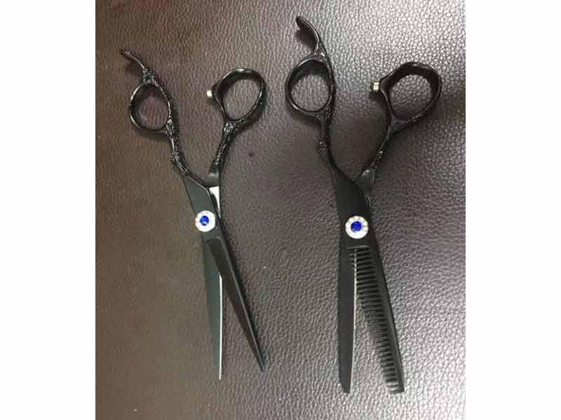 Professional Hair Cutting Shears